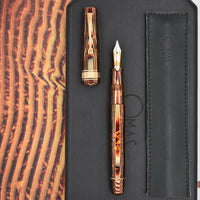 Stylo plume