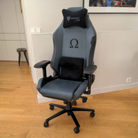 Fauteuil gaming TBE SECRET LAB OMEGA 2020