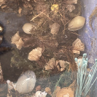 Diorama Verre filé Nevers 19è XIXè Art populaire Paysage Animaux Curiosité Rare