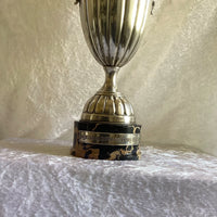 RARE GRANDE COUPE TROPHÉE ANCIENNE ARGENT MASSIF