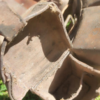 Paire de cartouchières allemandes de la première guerre mondiale