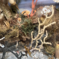 Diorama Verre filé Nevers 19è XIXè Art populaire Paysage Animaux Curiosité Rare