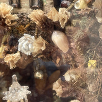 Diorama Verre filé Nevers 19è XIXè Art populaire Paysage Animaux Curiosité Rare