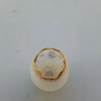 Rare Ancien Petit Vase Daum Nancy Gardeuse D Oies Verre Givré. Bordé D Or.