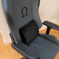 Fauteuil gaming TBE  SECRET LAB OMEGA 2020