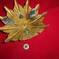 plaque officier de réserve casque à pointe mecklembourg WWl